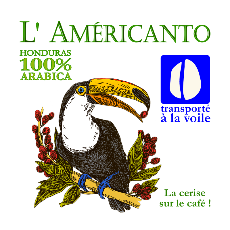 americanto