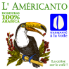 americanto