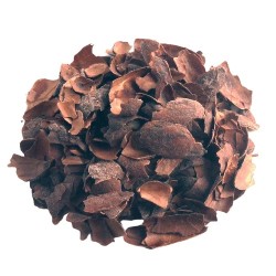 Ecorces de Fèves de Cacao (100g)